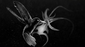 marzaroli-hummingbird-589px