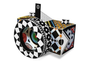 world_pinhole_camera_day