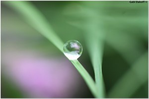 .va' dove ti porta il