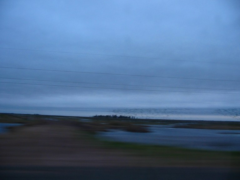 Horizonte San Luis-2004 (3)