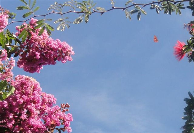 Lo Esencial es Invisible a los Ojos-