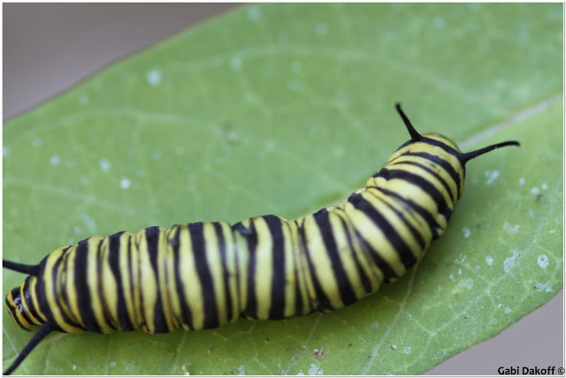 Y tu què crees........