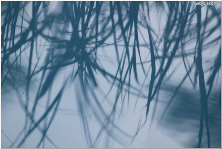 Escrito en la luz del tiempo