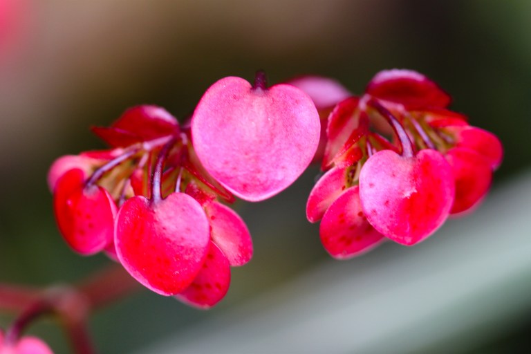 apoyemos lo que amamos (1)