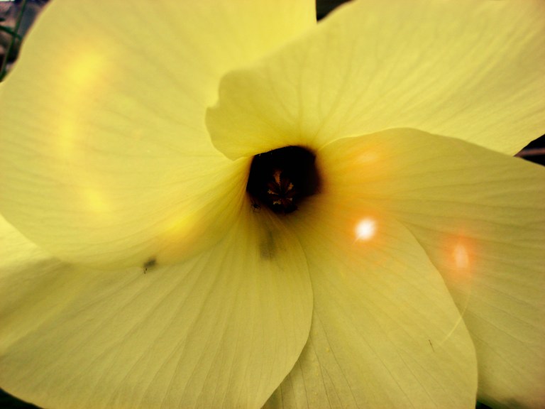 aprendamos-a-valorar-el-silencio-1