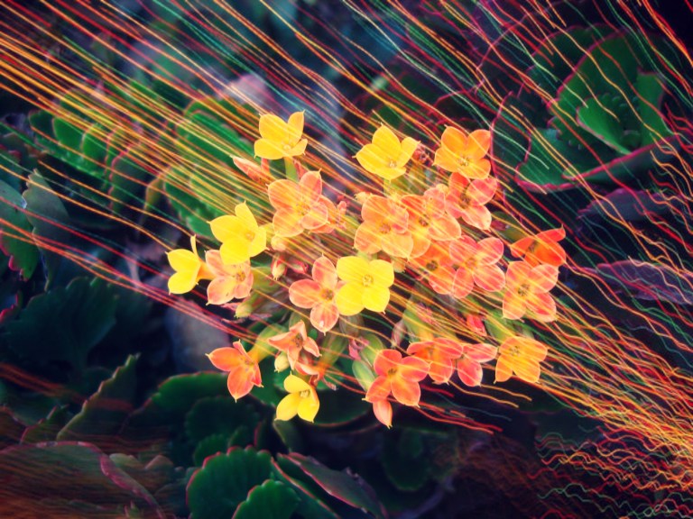 la clave es el equilibrio (1)