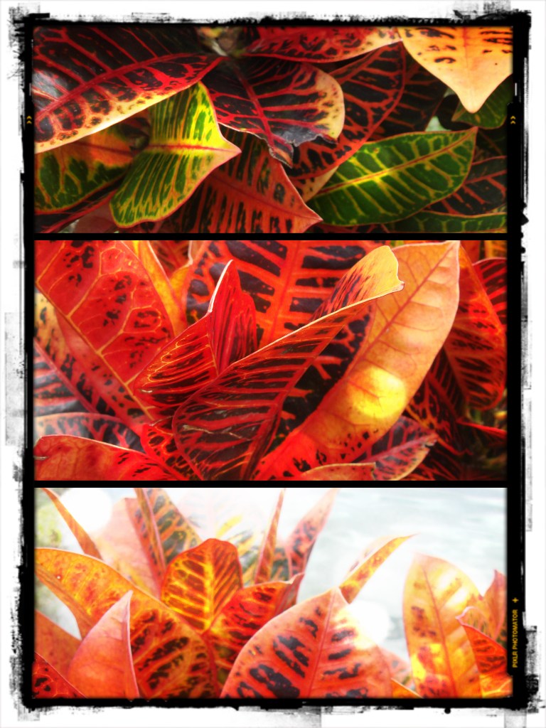 la clave es el equilibrio (3)