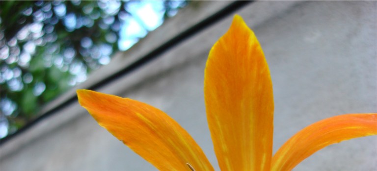 la clave es el equilibrio