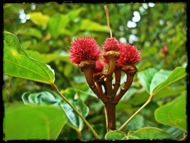 la paciencia es una virtud