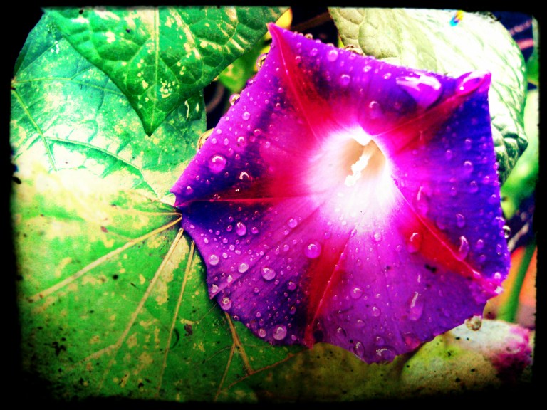 pasión súbita en el cielo porteño- (1)