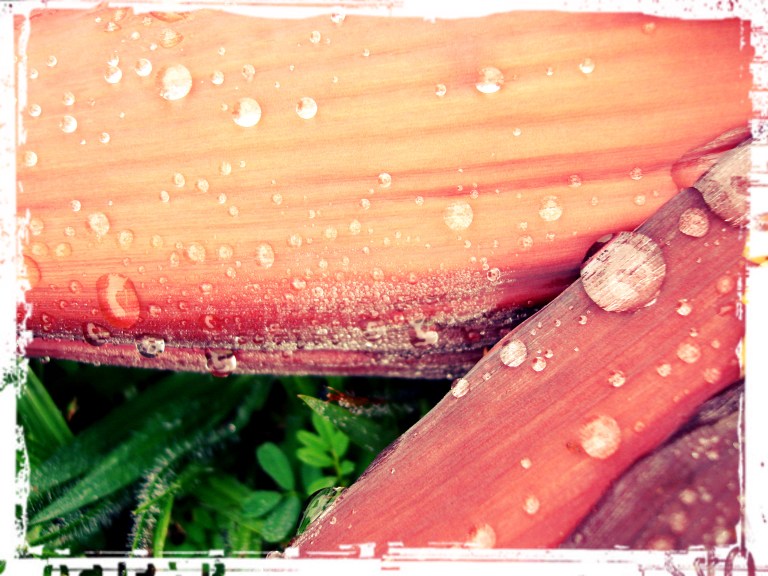 pasión súbita en el cielo porteño- (2)