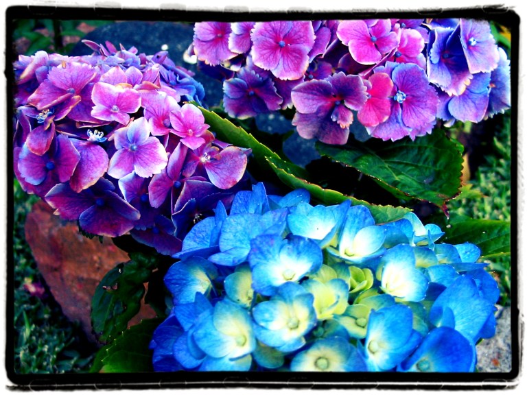 pasión súbita en el cielo porteño- (3)