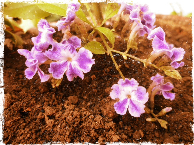 acerca de escribir cartas, en el tiempo