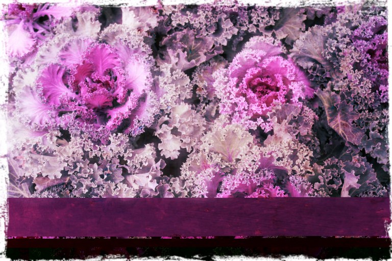 cartas de color de herrumbre 2