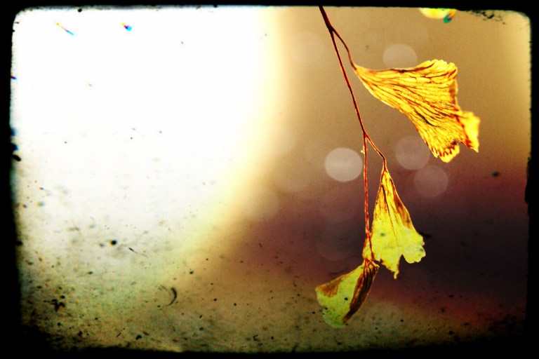 cartas de color de herrumbre1