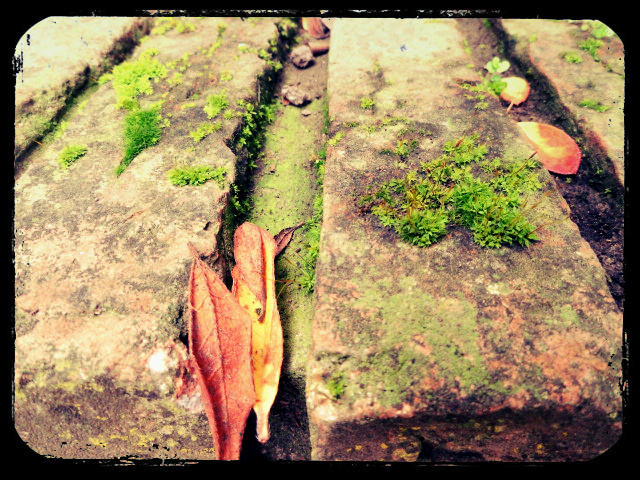 Charles Dickens a su hijo