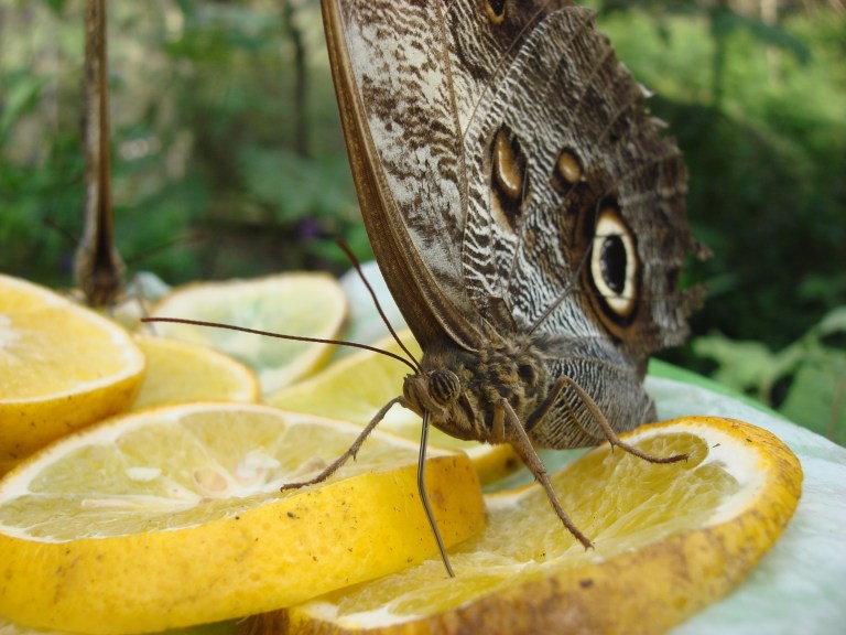nuestro miedo más profundo1