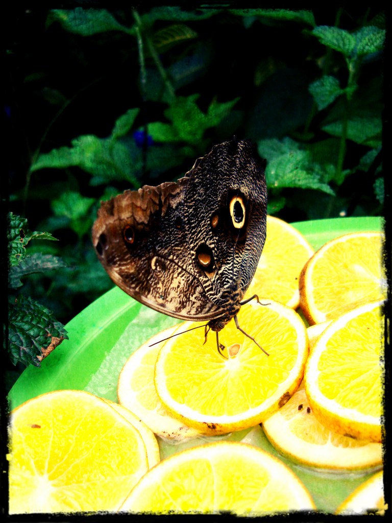 nuestro miedo más profundo2