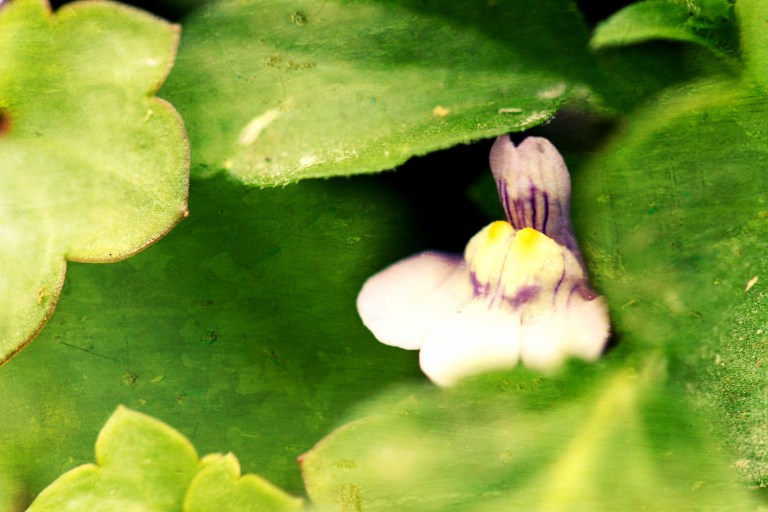 el que esté más cerca