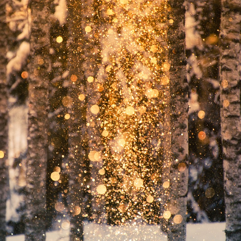 Vuelo Nocturno by MikkoLagerstedt-I-