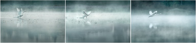 Vuelo Nocturno by MikkoLagerstedt-II-