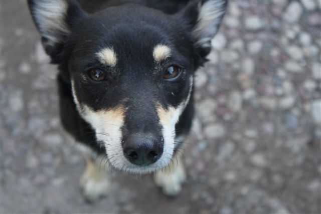 no-ignores-la-tristeza-24-04-2011