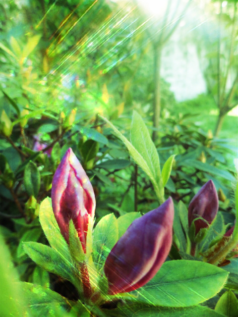 tu cuerpo está a mi lado