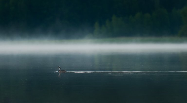 Vuelo Nocturno by MikkoLagerstedt-IX