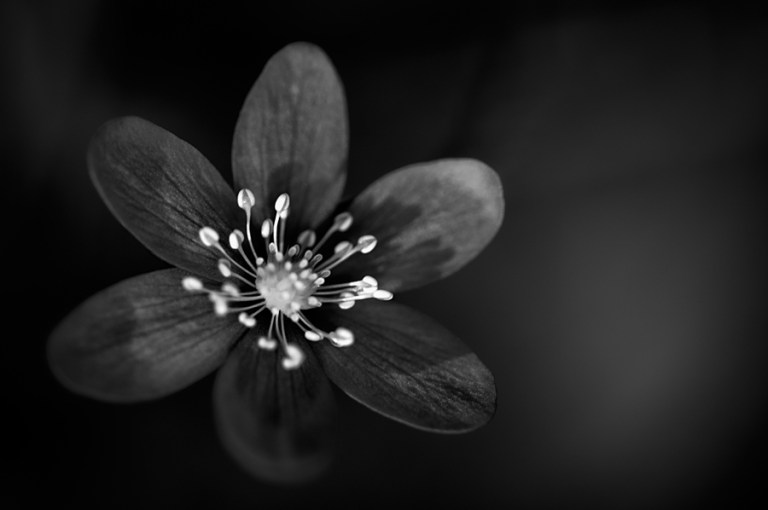 Vuelo Nocturno by MikkoLagerstedt-VIII (1)