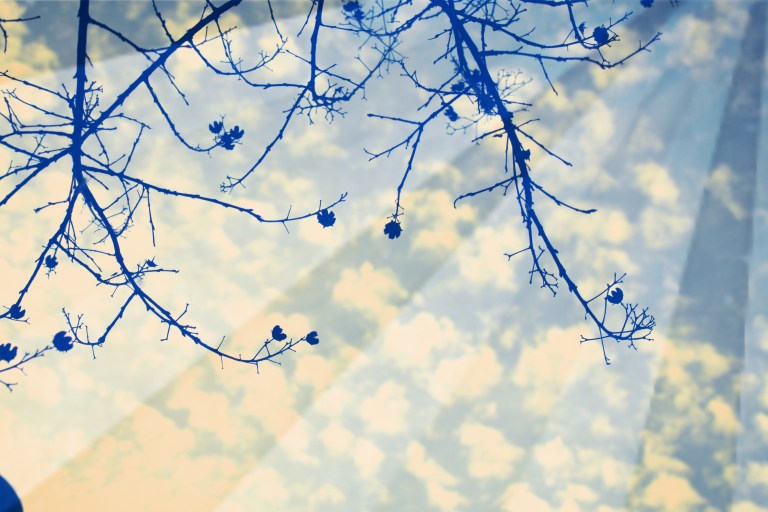 cambiar yo para que cambie el mundo