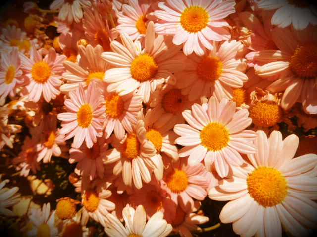 entre el sueño y hacerse realidad-3