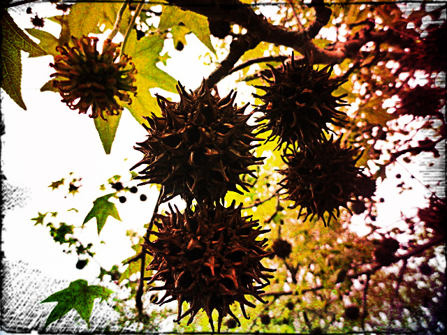 oración para el amor