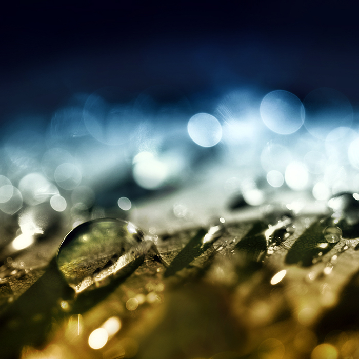 Vuelo Nocturno by MikkoLagerstedt-XI (1)