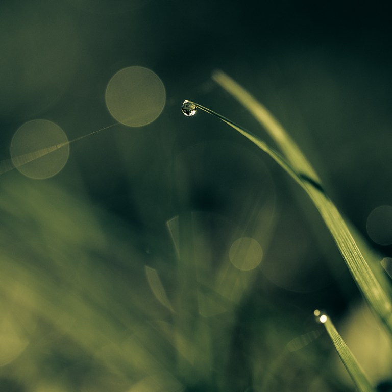Vuelo Nocturno by MikkoLagerstedt-XI