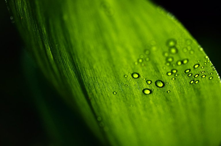 Vuelo Nocturno by MikkoLagerstedt-XII (1)