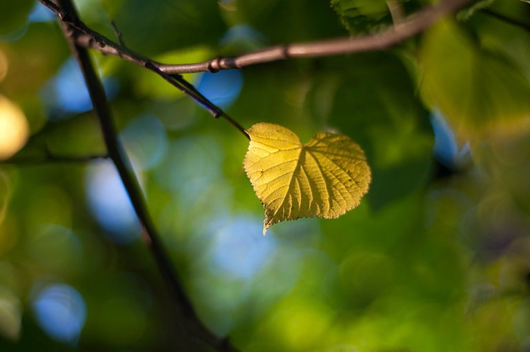 Vuelo Nocturno by MikkoLagerstedt-XII