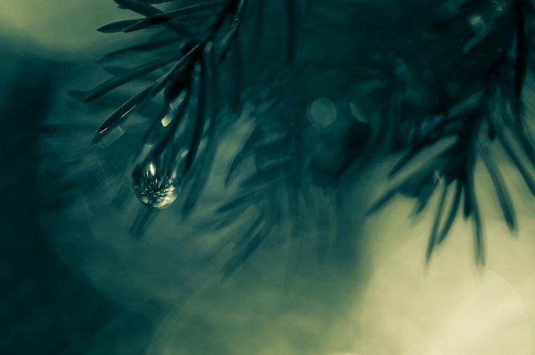 Vuelo Nocturno by MikkoLagerstedt-XVI (1)