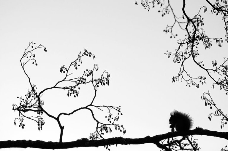 Vuelo Nocturno by MikkoLagerstedt-XX (2)