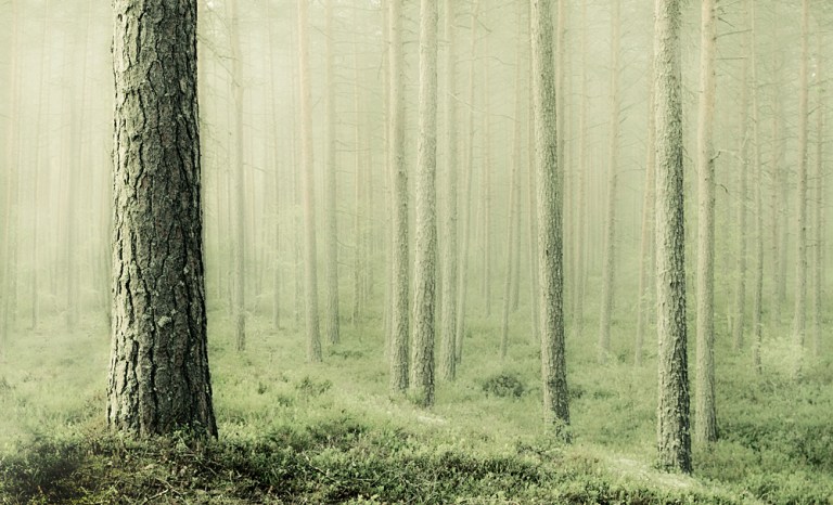 Vuelo Nocturno by MikkoLagerstedt-XX