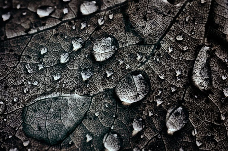 Vuelo Nocturno by MikkoLagerstedt-XXI (2)