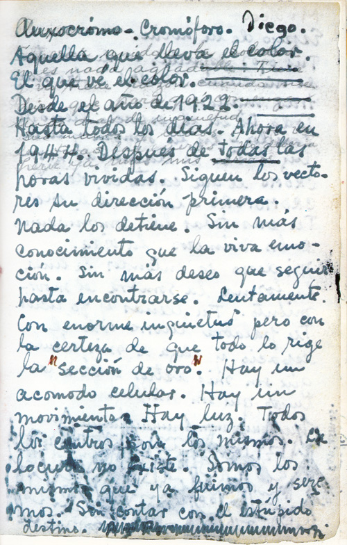 aquella que lleva el color