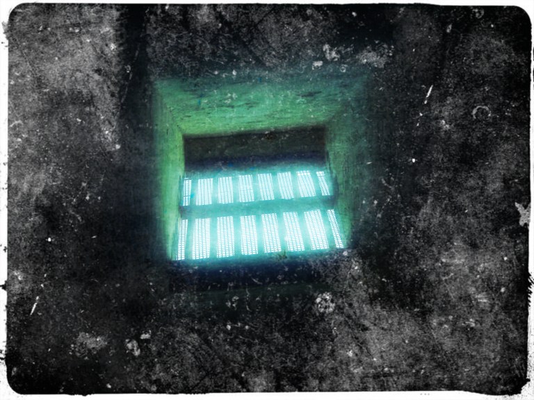 el apego y la huida del alma