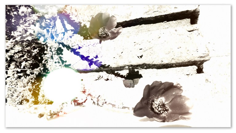 los herederos de Cleopatra