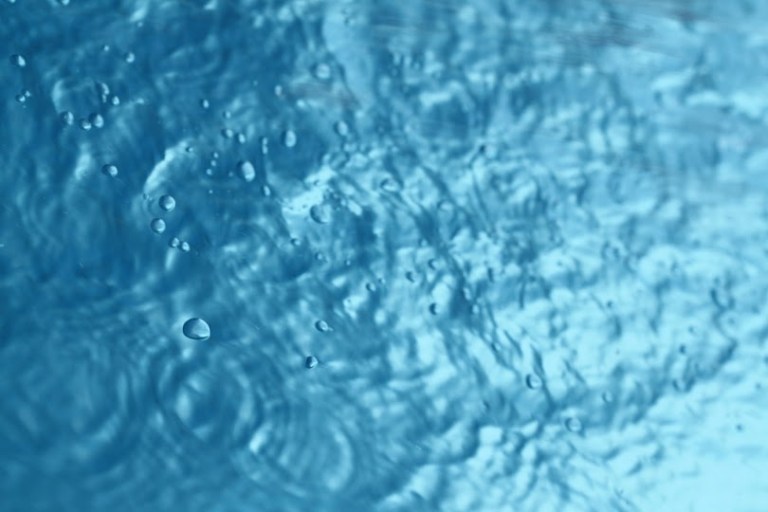 .los océanos dentro de nosotros