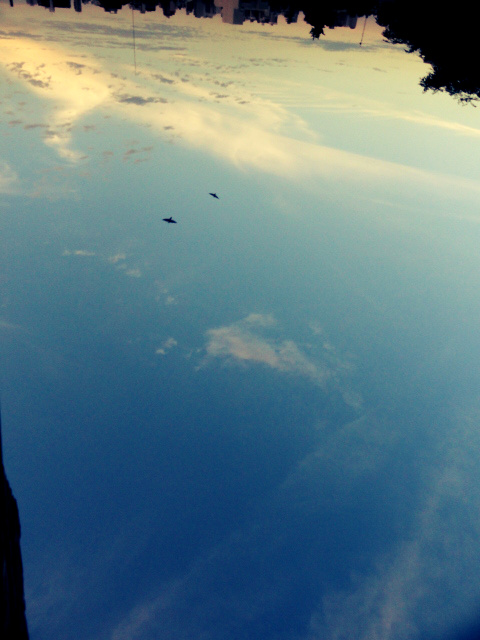 la imaginación íntima