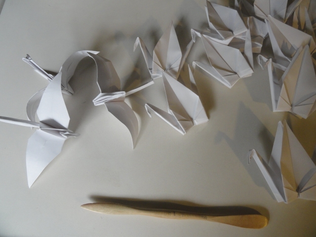 .cómo alimentar una musa y conservarla