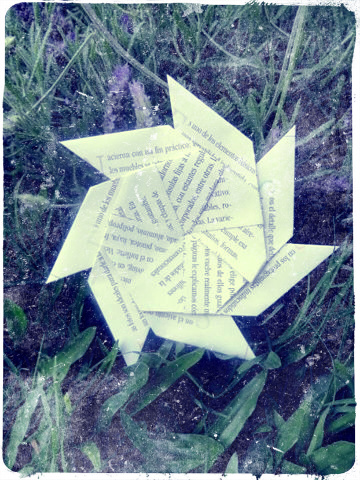 .la armonía -alcanzar el equilibrio vital