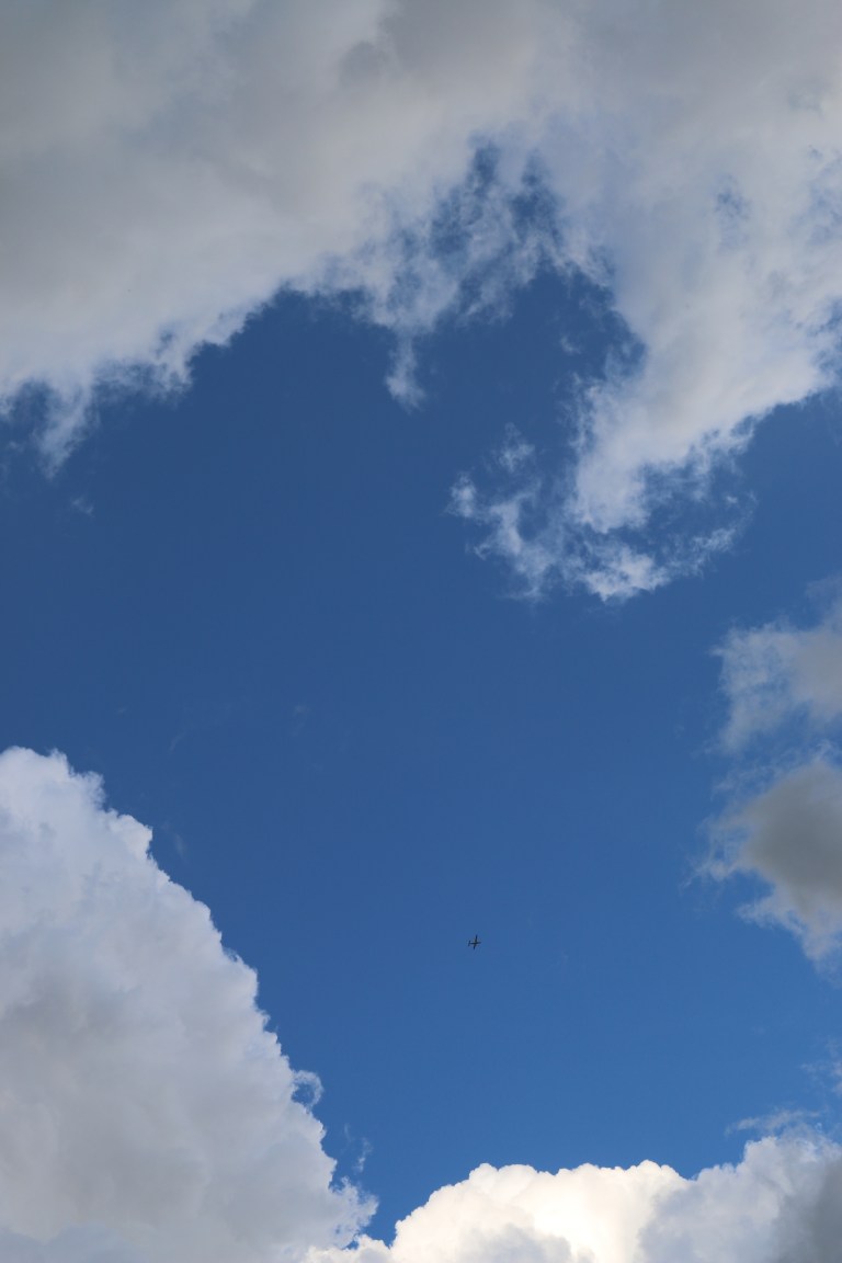 .la dicha de escribir