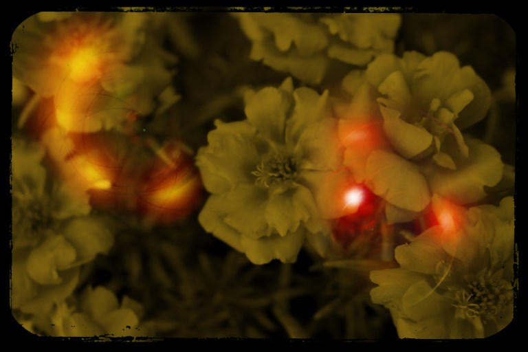 .las cartas más apasionadas del mundo-Apasionadas I