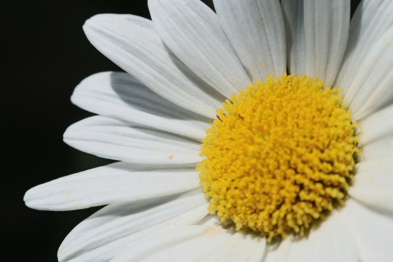 .por el preciso instante